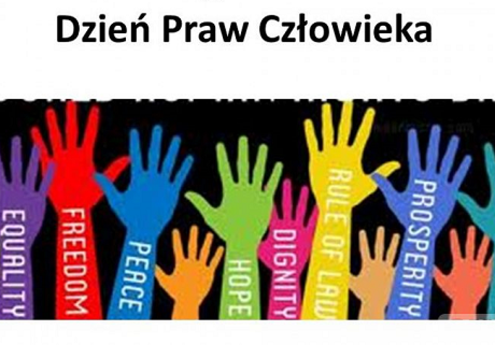 Powiatowy Dzień Praw Człowieka